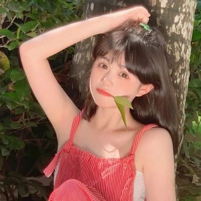 aa玩盒子破解版下载